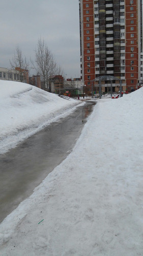 ГБУ Жилищник, весна 2017.