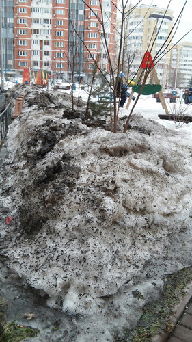 ГБУ Жилищник, весна 2017.